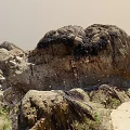 Large Stone Formations With Dark Seaweed And Wooden Accents On Sandy Coastal Terrain