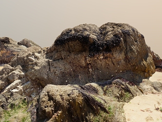 Beach Rock Moss 3d model