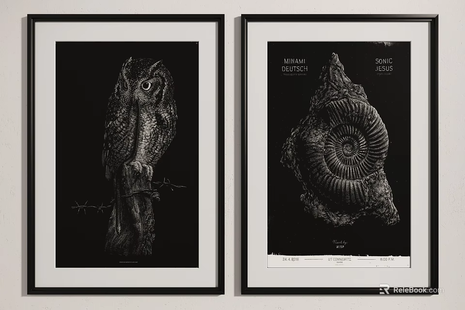 Framed Black And White Natural History Art With Owl And Ammonite Specimen 3d model 
