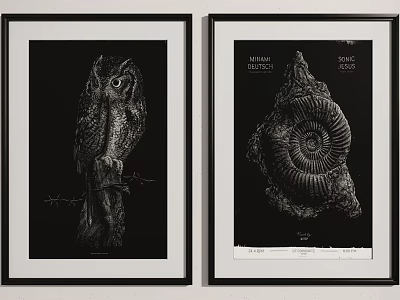 Framed Black And White Natural History Art With Owl And Ammonite Specimen 3d model
