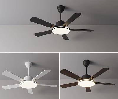 Modern Ceiling Fan Light Design Featuring Black And White Color Options 3d model