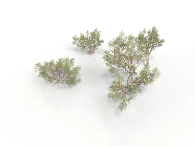 Natural Green Bushes And Small Trees On White Background With Various Sizes And Shapes 3d model