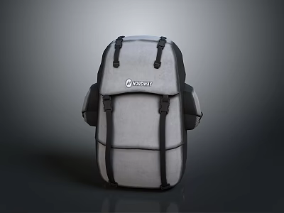 Gray And Black Backpack With Adjustable Straps And Multiple Compartments For Daily Use 3d model