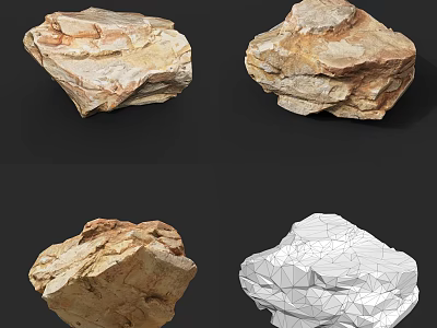 Natural Stone Wood Specimens Displaying Realistic Shapes and Wireframe Model Views 3d model
