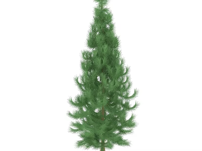 Tall Upright Evergreen Arbor With Lush Green Foliage And Branches 3d model