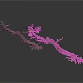 Natural Dried Tree Branches With Curved Shape Roots And Small Branches In Natural State