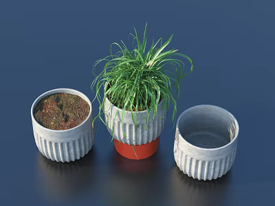 Concrete Ribbed Potted Plants With Green Grass And Empty Pots Design 3d model