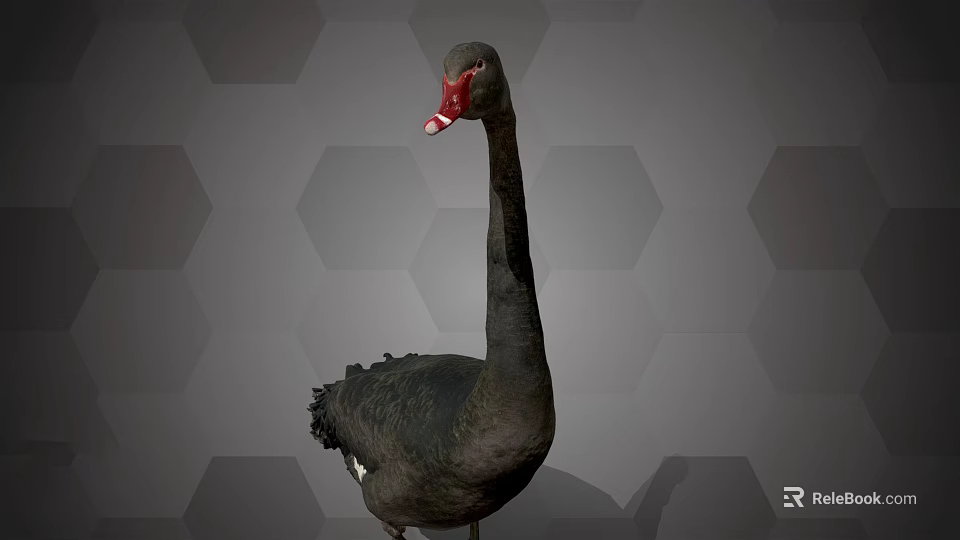 Flying Black Swan with Long Neck Red Beak and Black Feathers on Hexagonal Gray Background 3d model 