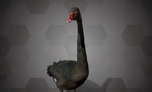 Modern Swan Black Swan 3d model