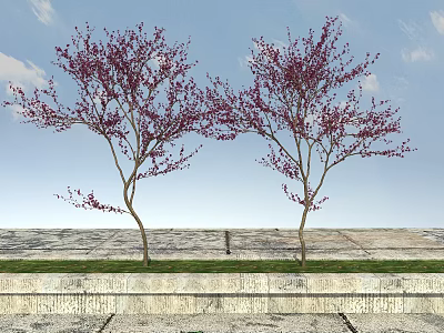Trees with Purple Red Flowers Under Blue Sky White Clouds Near Stone Wall and Grass 3d model