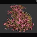 Pink Flowering Bonsai Plant with Artistic Trunk in Decorative Clay Pot