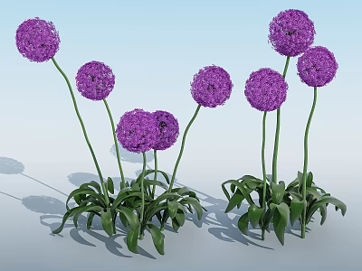 Modern Flowers 3d model Modern Flowers 3d model