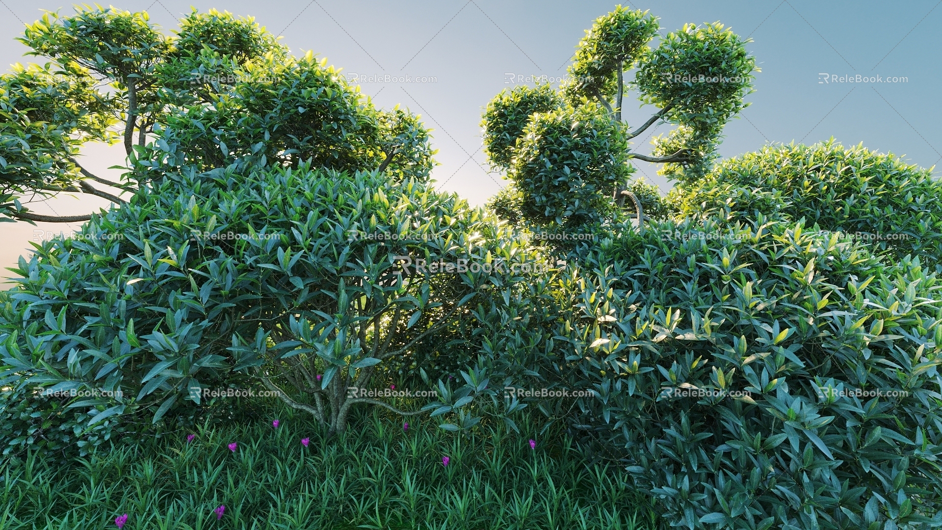 Flowers and Plants Combination Landscape Shrubs Shrubs Plant Combination Natural Landscape 3d model