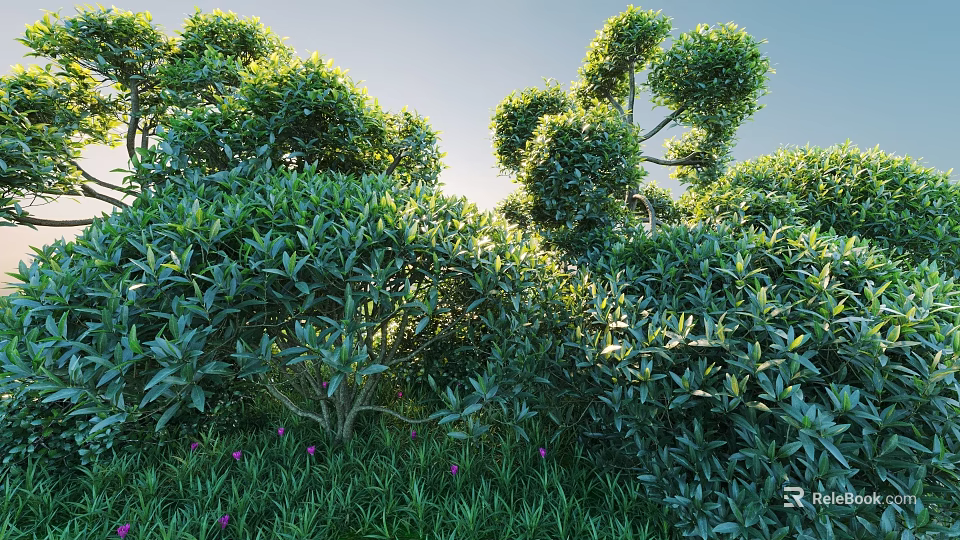 Lush Green Bushes In Sunlit Natural Landscape With Dense Fresh Foliage And Greenery 3d model 
