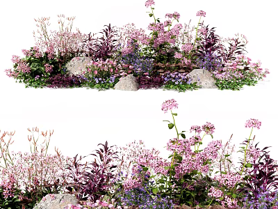 Vibrant Lush Garden Flowers And Plants With Pink Purple Blooms And Stones 3d model