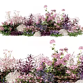 Vibrant Lush Garden Flowers And Plants With Pink Purple Blooms And Stones