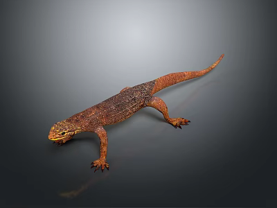 Closeup View Of Reptile Lizard With Orange Brown Scales Long Tail On Gray Background 3d model