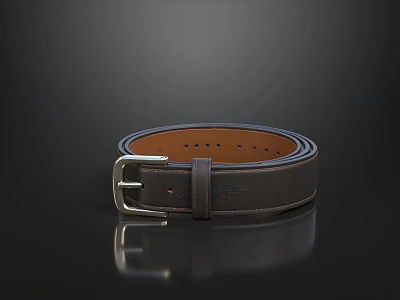 Stylish Casual Clothing Outfit With Brown Leather Belt And Metal Buckle 3d model