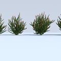 Two Clusters of Lush Green Shrubs with Beautiful Orange Small Flowers