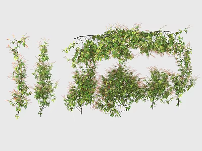 Lush Green Ivy Plants Hanging Decor For Modern Open Kitchen Design 3d model