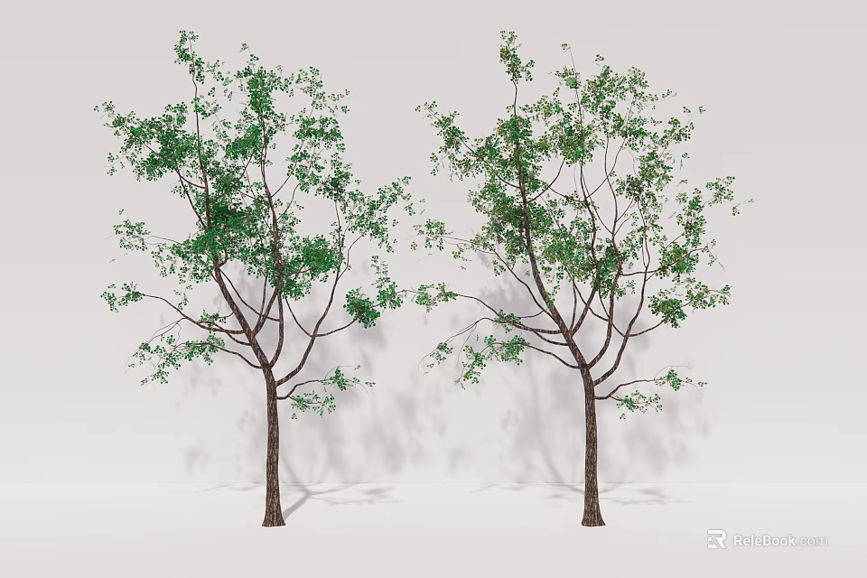 Two Green Leaf Trees with Brown Trunks Against Gray Background 3d model 
