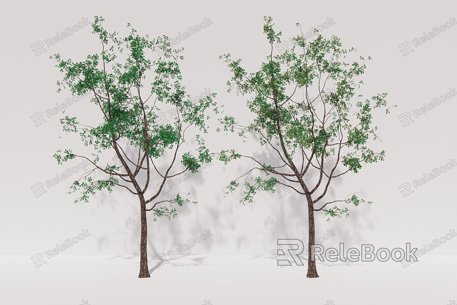 Modern Trees Sapium Trees model