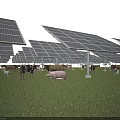 Solar Panels Power Daily Electrical Appliances in Farm with Cows and Pigs