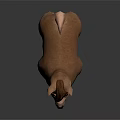 alpaca wool llama alpaca camel sheep humpless moose animal 3d model