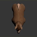 alpaca wool llama alpaca alpaca camel sheep humpless moose animal 3d model