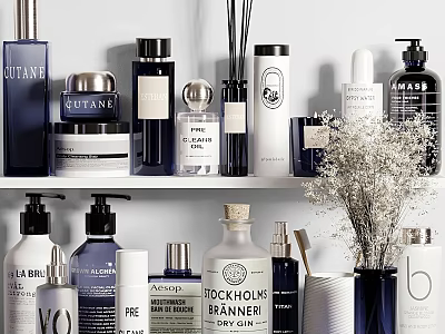 Stylish Modern Bathroom Accessories With Bottles Soap Dispensers Reed Diffusers Jars On Organized Shelf 3d model