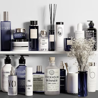 Stylish Modern Bathroom Accessories With Bottles Soap Dispensers Reed Diffusers Jars On Organized Shelf 3d model