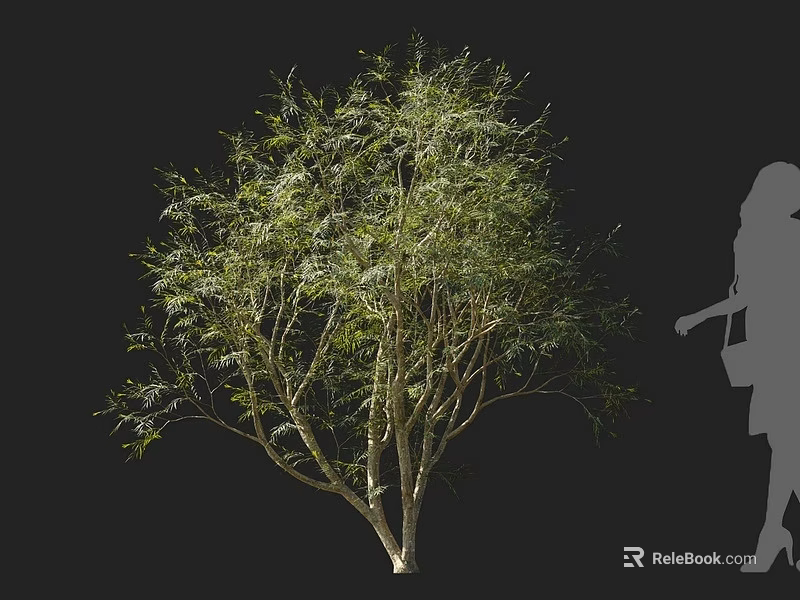 Lush Green Arbor With Multiple Branches And Human Silhouette On Black Background 3d model 