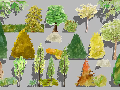 Cartoon Scenery With Various Colorful Different Types of Tree And Shrub Illustrations 3d model