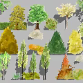 Cartoon Scenery With Various Colorful Different Types of Tree And Shrub Illustrations