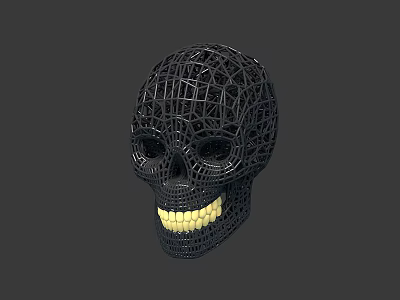 3D Printed Skull Anatomical Model Medical Device For Surgical Training And Education 3d model