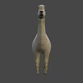 Realistic White Fluffy Alpaca Standing 3D Model with Soft Fur Texture 3d model