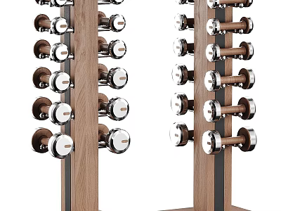 Wooden Dumbbell Rack Organizing Fitness Sports Equipment With Metal Dumbbells 3d model