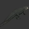 Realistic 3D Crocodile Model With Detailed Scaly Skin And Gray Background