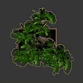 Elegant Bonsai Plant With Green Leaves And Brown Trunk In Square Pot