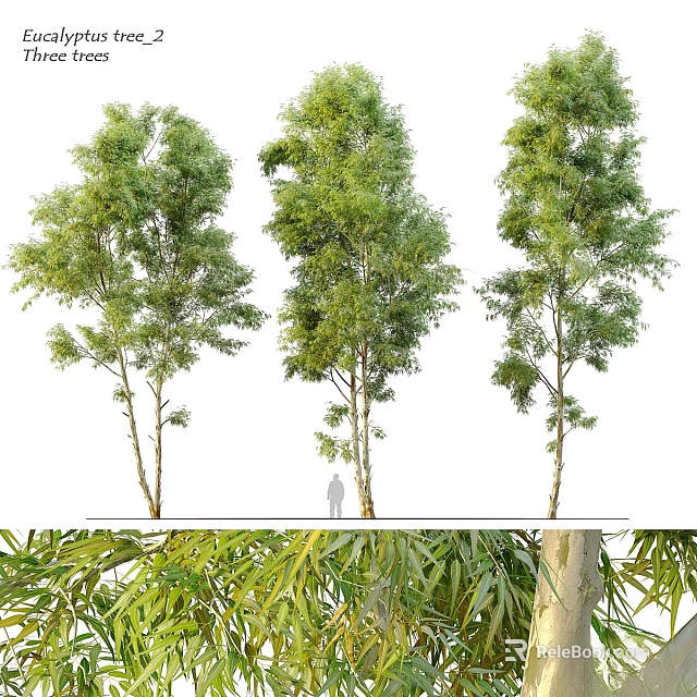 Decorative Plant Ornament Set With Tall Trees Green Foliage And Garden Decor Elements 3d model 