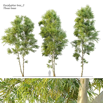 Decorative Plant Ornament Set With Tall Trees Green Foliage And Garden Decor Elements 3d model