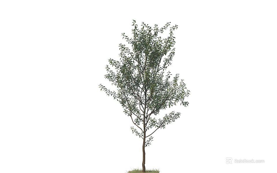 Isolated Arbor With Lush Green Foliage And Brown Trunk For Landscaping 3d model 