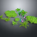 Various Green Plants With Different Leaf Shapes And Small Pink Flowers 3d model