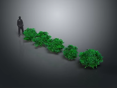 Green Plants Arranged in a Row with Standing Person Nearby 3d model