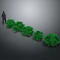 Green Plants Arranged in a Row with Standing Person Nearby
