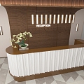 Hotel Front Desk Reception Hall Potted Phalaenopsis 3d model