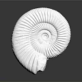 modern fossil chrysanthemum ancient fossil biological fossil 3d model
