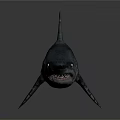Realistic Silver Shark With Open Mouth And Sharp Teeth On Dark Background