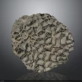 Coral Polyps White Calcareous Skeleton With Honeycomb Structure Marine Organism