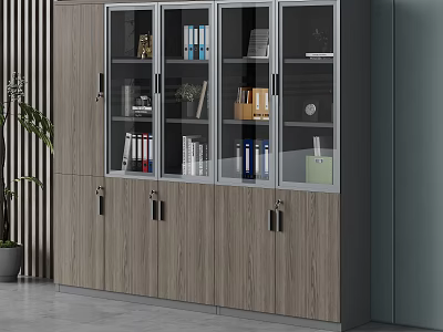 Modern Interior File Cabinet With Glass Doors Wooden Panels And Organized Files Books 3d model